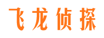 雁峰侦探公司